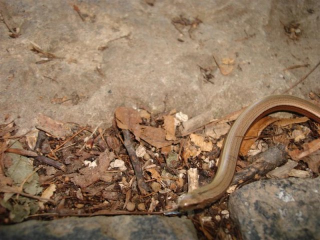 DSC05830 (Medium)
